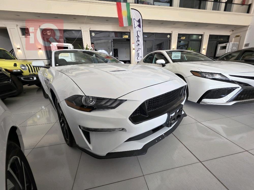 https://cdn.iqcars.ioscaled_1000067160_out.jpg